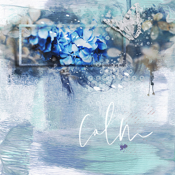 Hydrangea