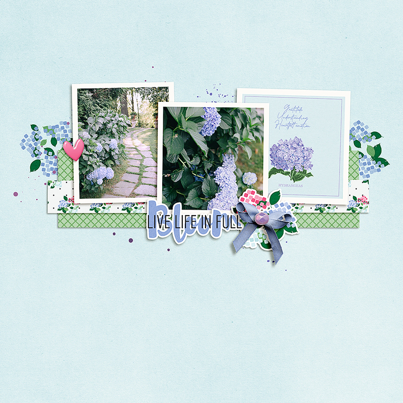 Hydrangeas v.1