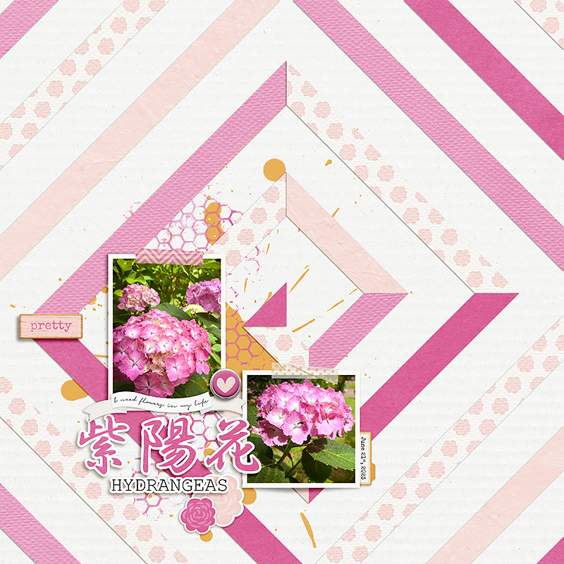 Hydrangeas