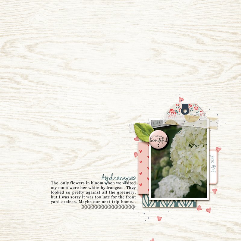 Hydrangeas072018sc_MayC2018small
