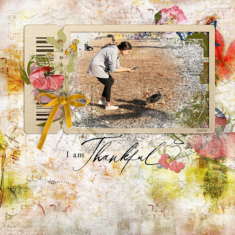 I am Thankful