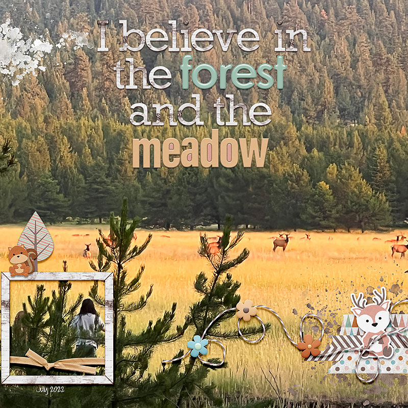 I-believe-copy