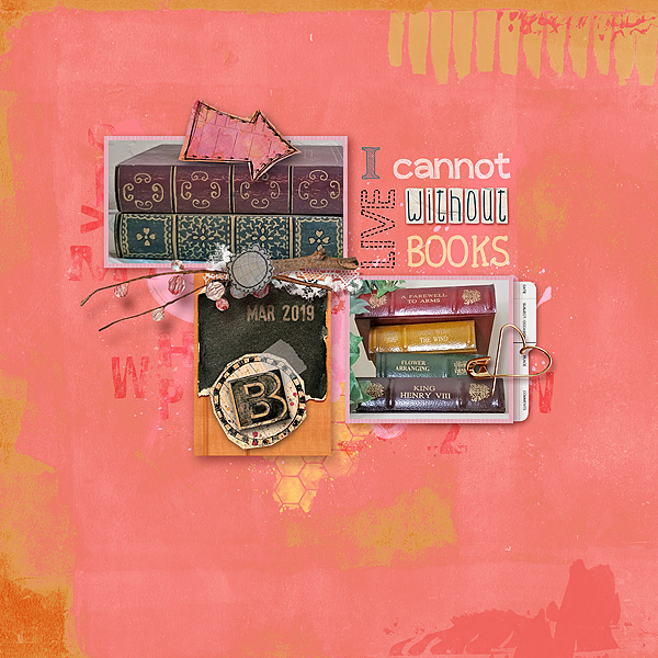 I-can-live-without-books