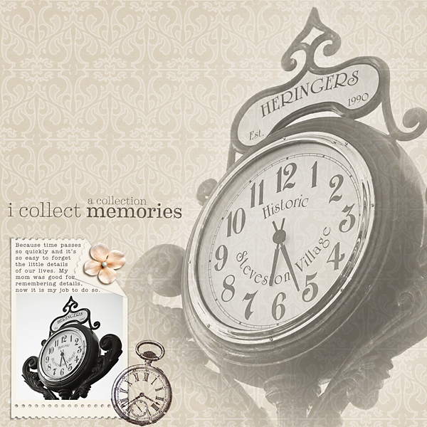 I Collect Memories