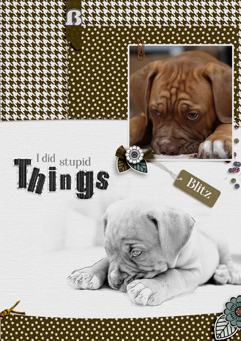 I did stupid things