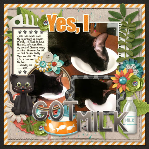 I Got Milk