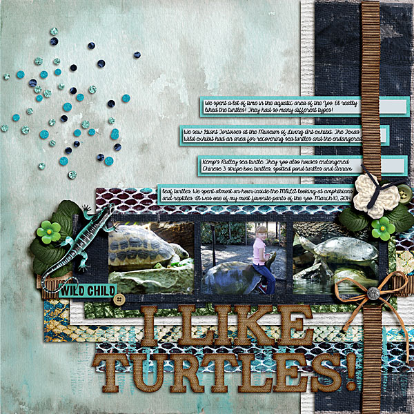 I Like Turtles!