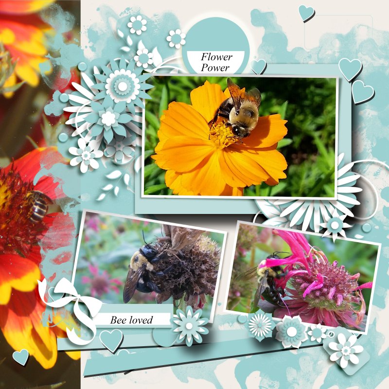 I love bees