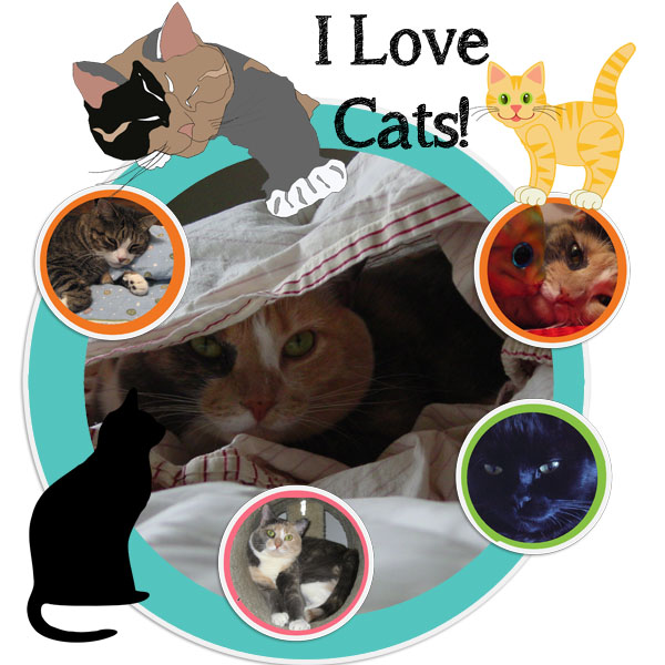 I Love Cats