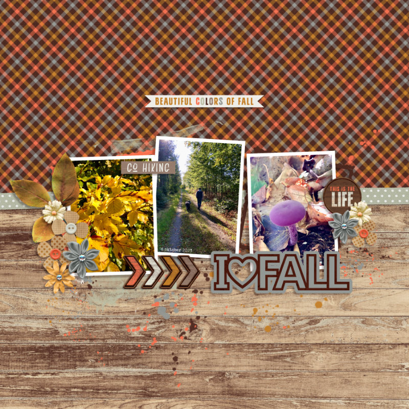 I love fall