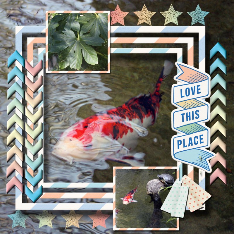 I Love Koi Ponds
