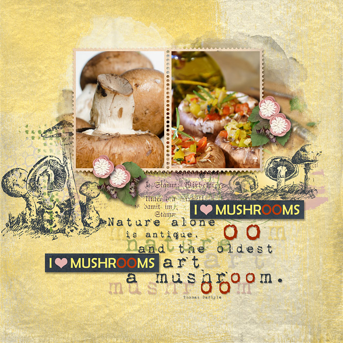 I Love Mushrooms