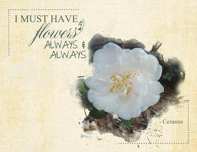 I-Must-Have-Flowers