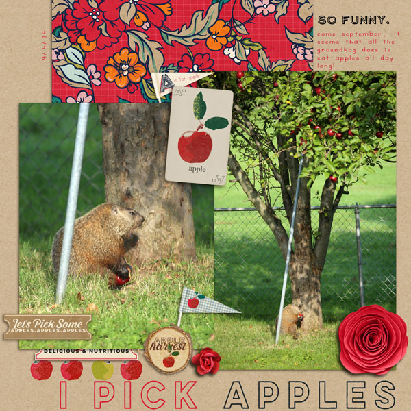 I Pick Apples