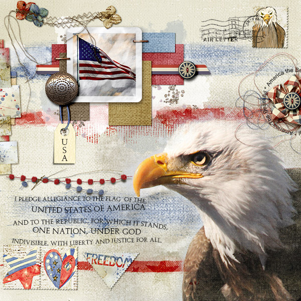 I Pledge Allegiance...