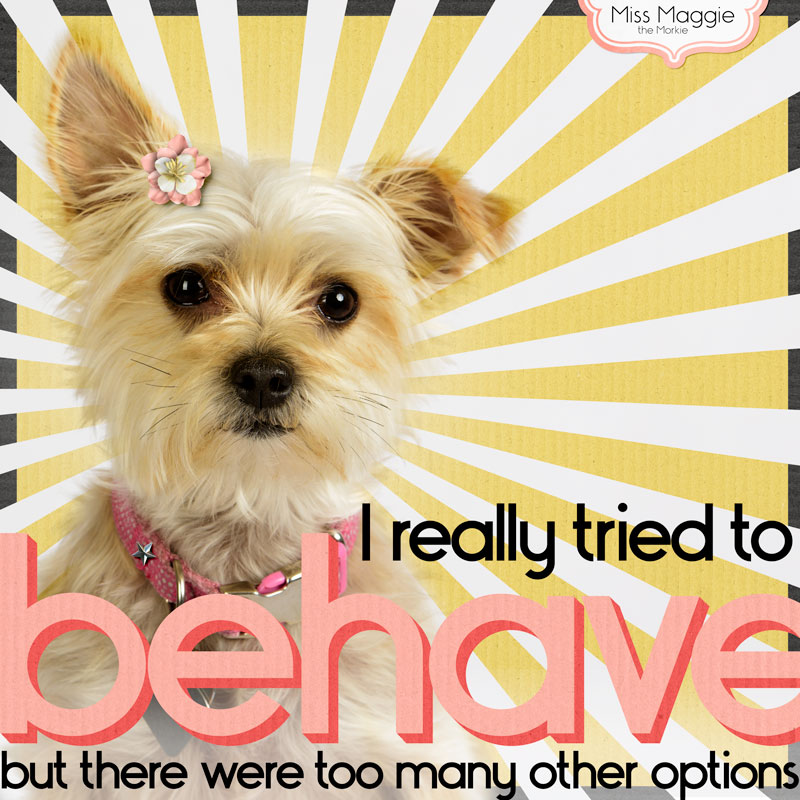 I Tried To Behave (Style Challenge March 2016)