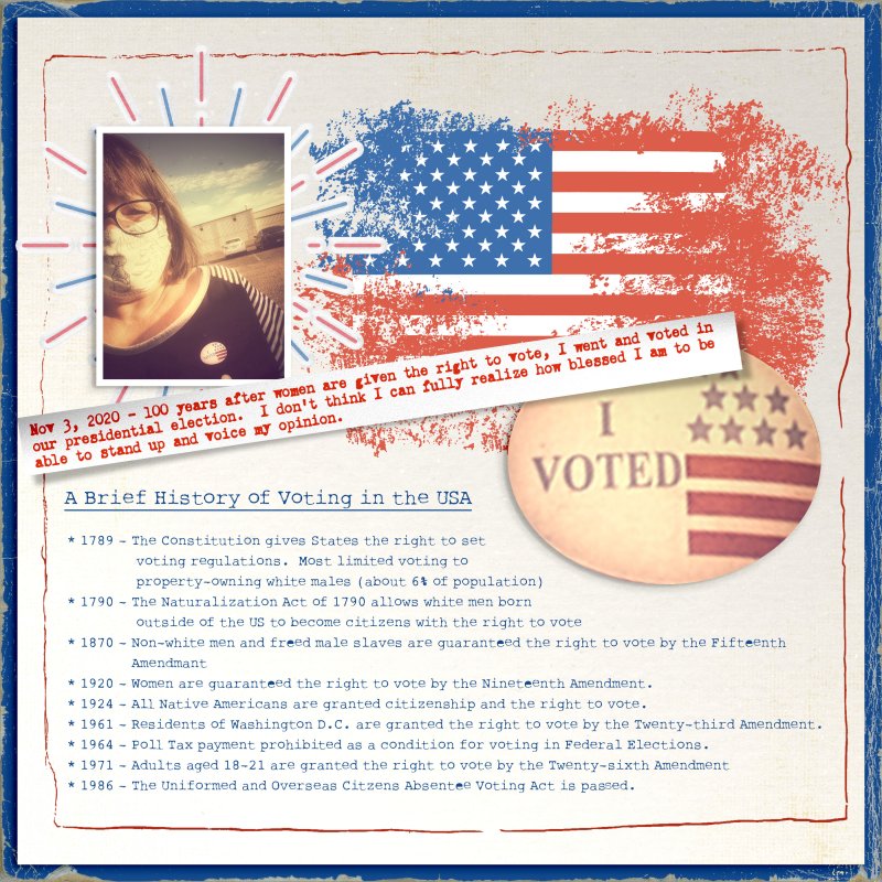 I Voted Copy