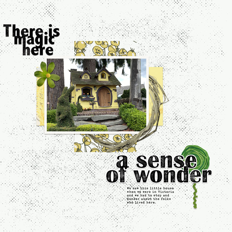 I Wonder