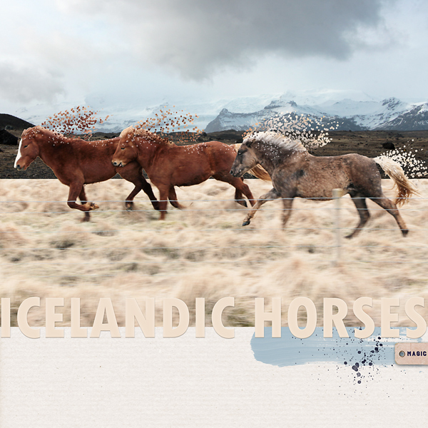 Icelandic Horses (MOC6.6)
