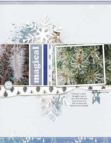 Icy-Magic_flowersgal_Jan6_2021_webjpg
