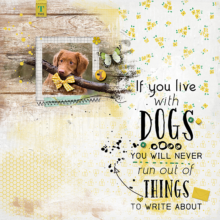 If you live with dogs