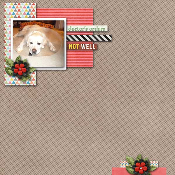 ilypad-moc-jan-4-Clean and simple