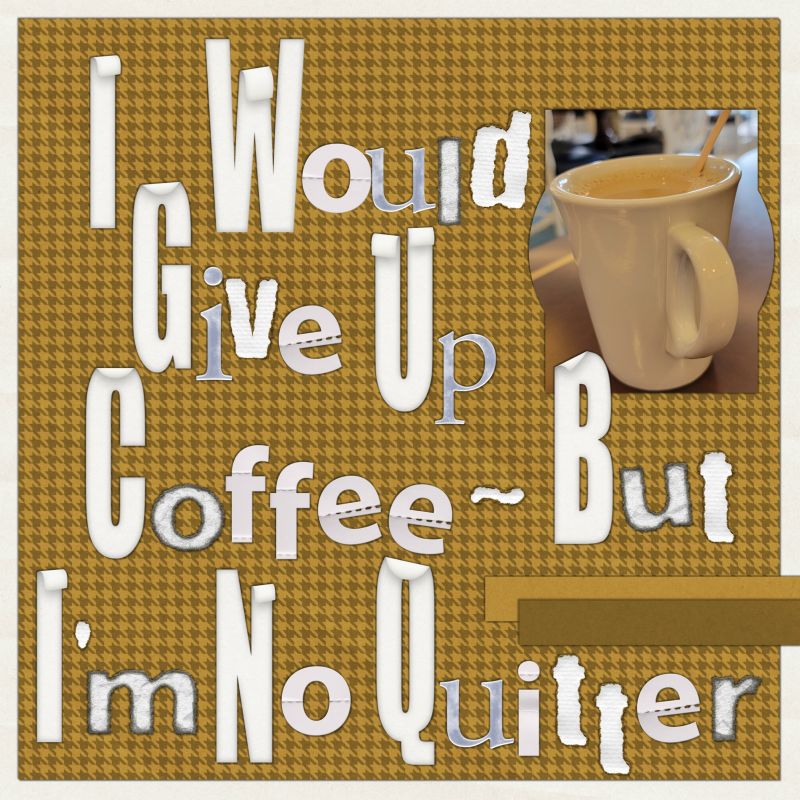 I'm no quitter