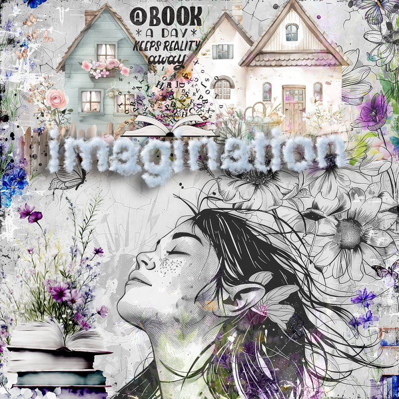 Imagination