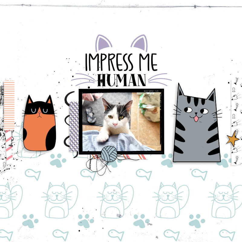 Impress Me Human