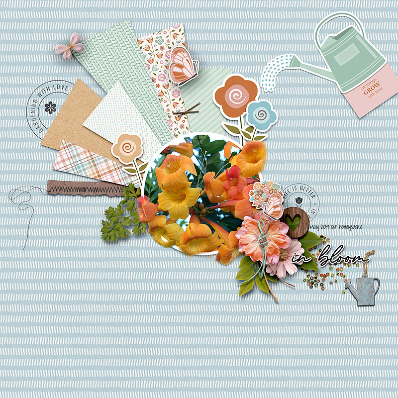 In-Bloom-copy