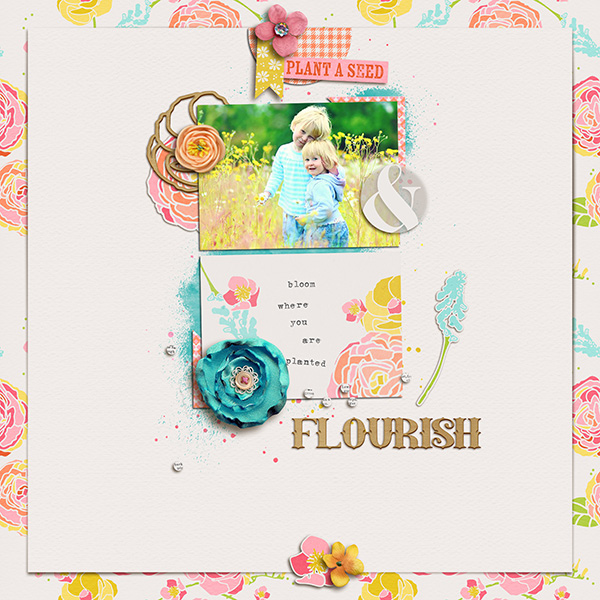 In Bloom