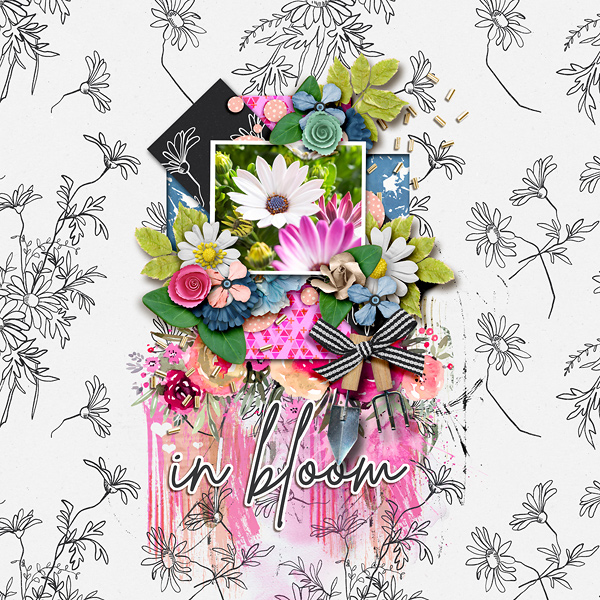 In Bloom