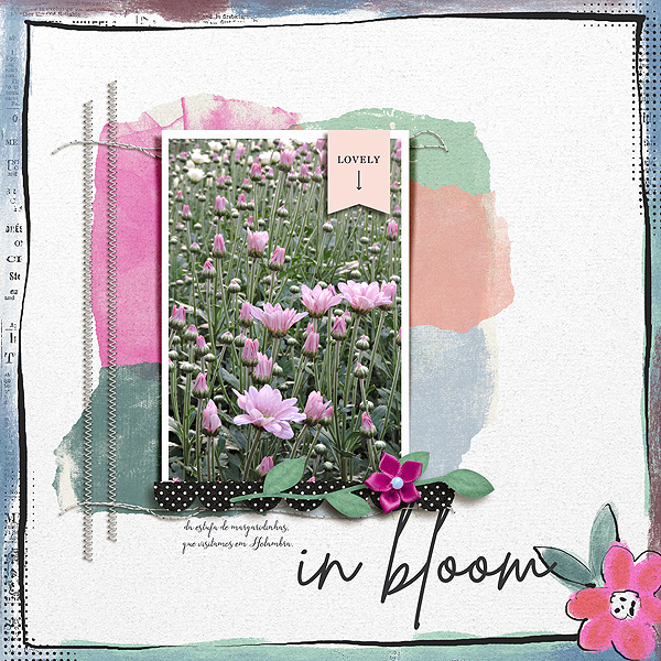 in Bloom