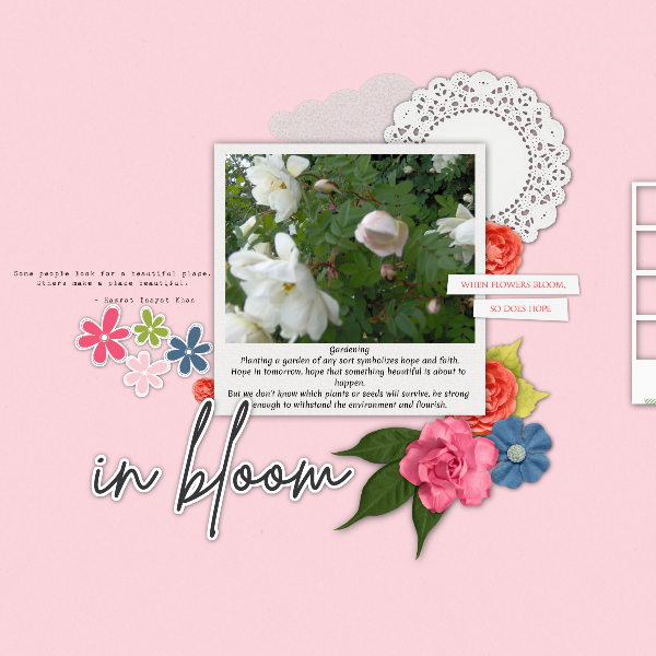 In bloom