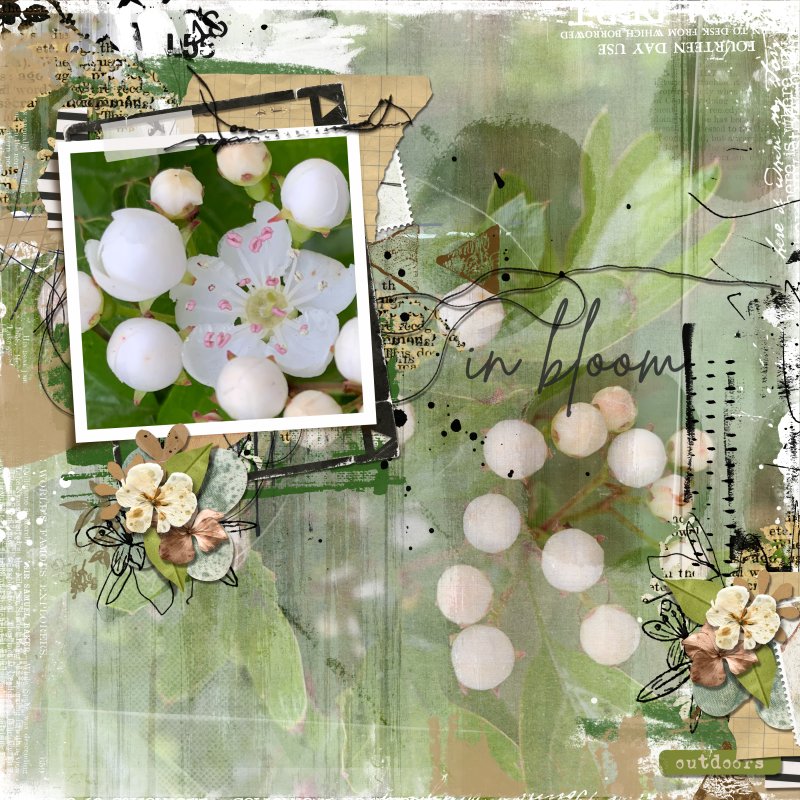In Bloom