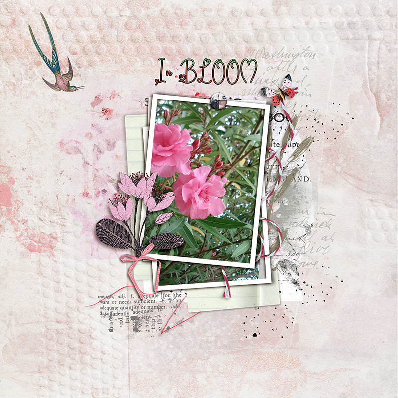 In Bloom