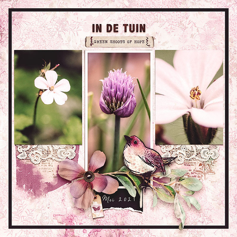 In de tuin