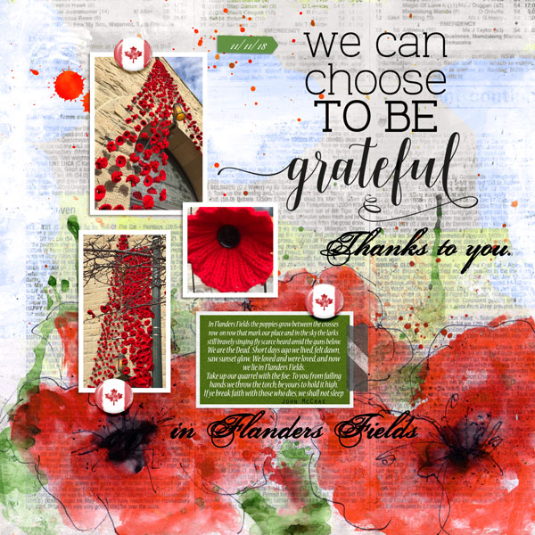 In Flanders Fields