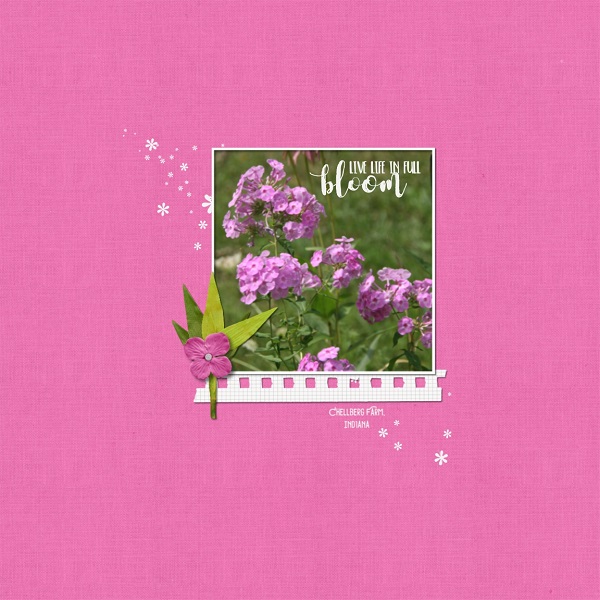 In Full Bloom