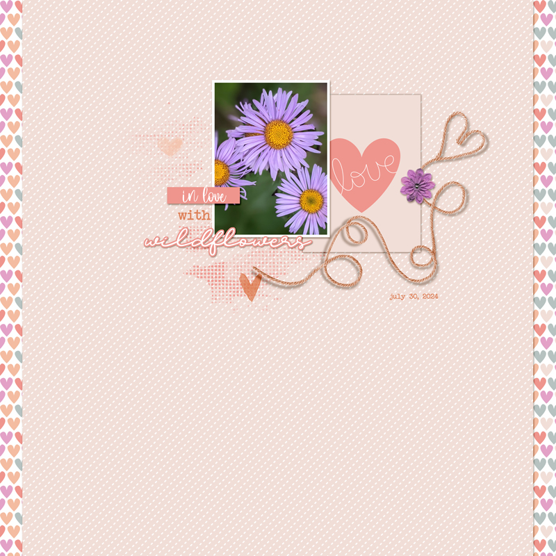 In-love-with-wildflowers