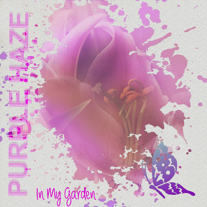 In-My-Garden