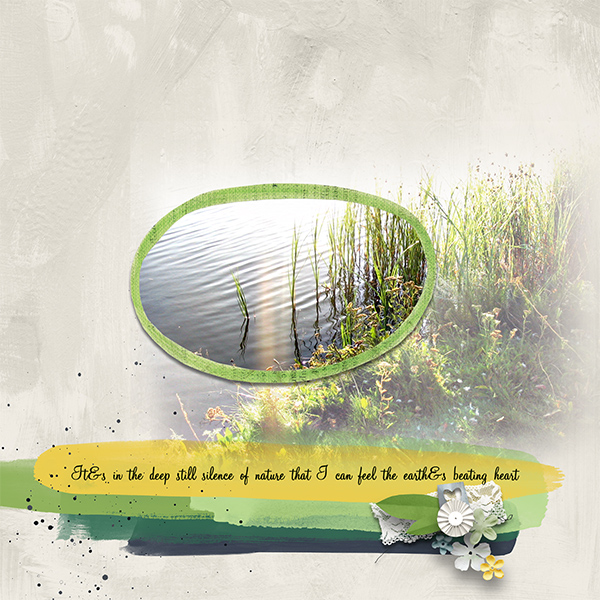 In-the-deep-still-silence