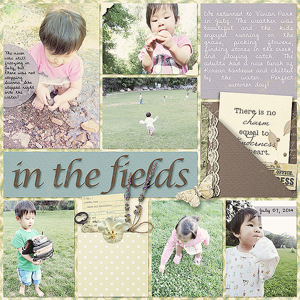 In The Fields