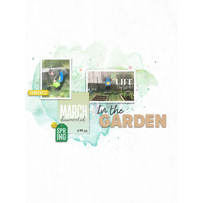 In the garden