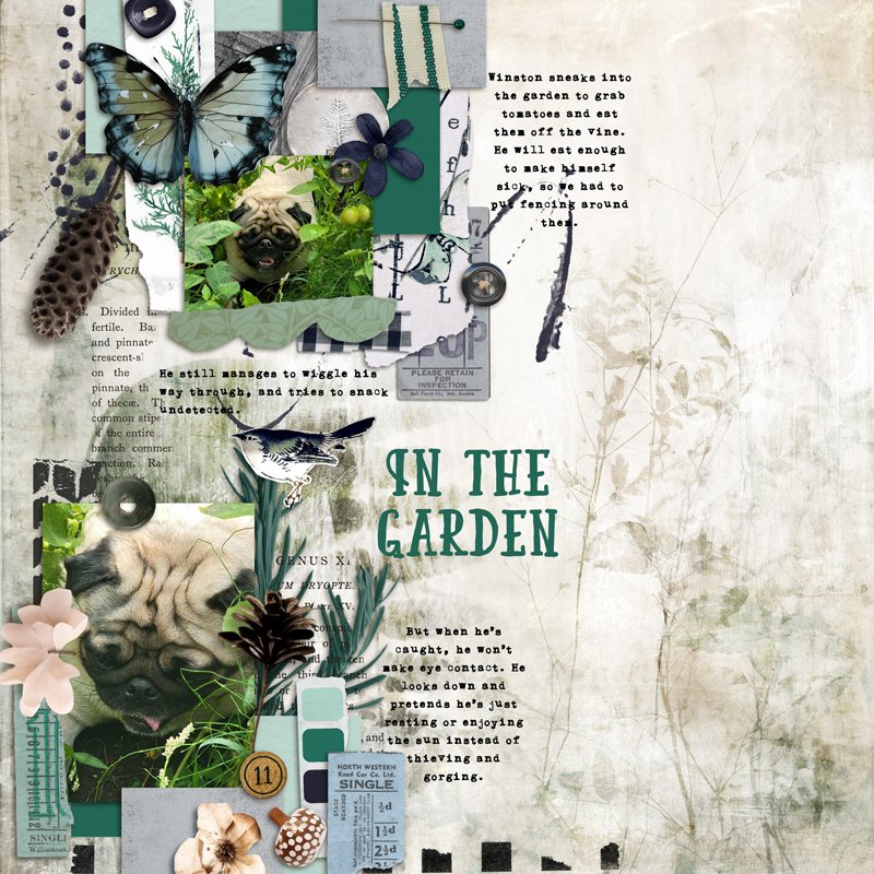 In the Garden