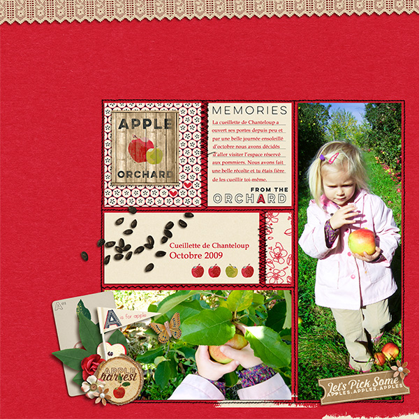 In the orchard