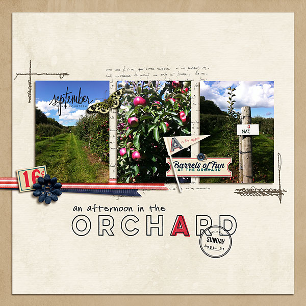 In the Orchard