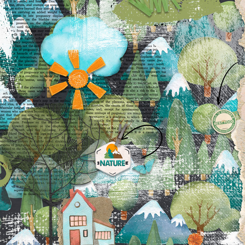 in the pines