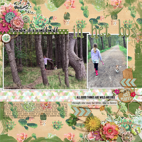 In the woods