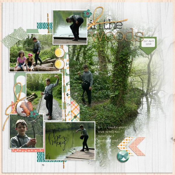 In the Woods